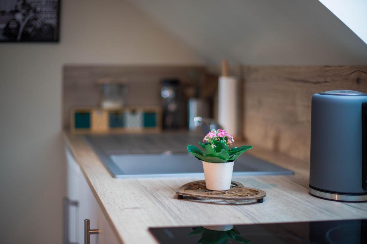 Bed and Breakfast La Maison D'Elise Dollon Zewnętrze zdjęcie